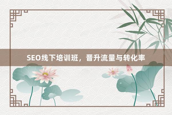 SEO线下培训班，晋升流量与转化率