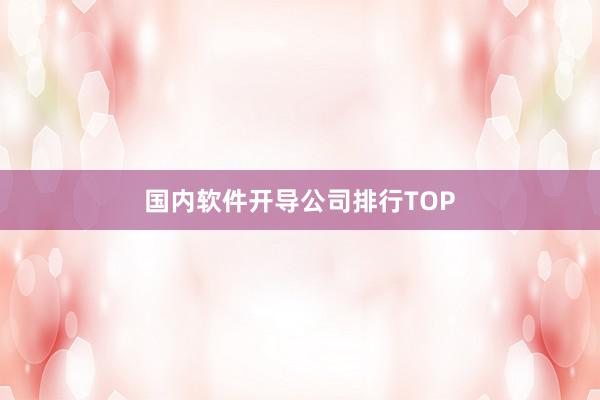 国内软件开导公司排行TOP