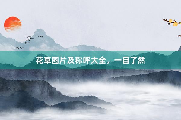 花草图片及称呼大全，一目了然