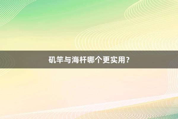 矶竿与海杆哪个更实用？